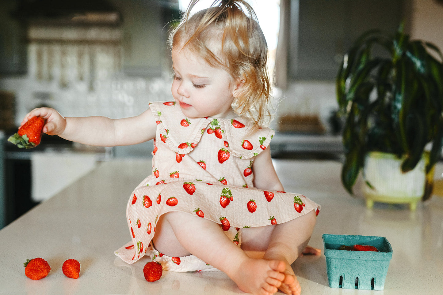 Strawberry Ruffle Collar Dress