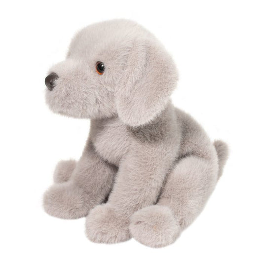 Argento Floppy Silver Lab