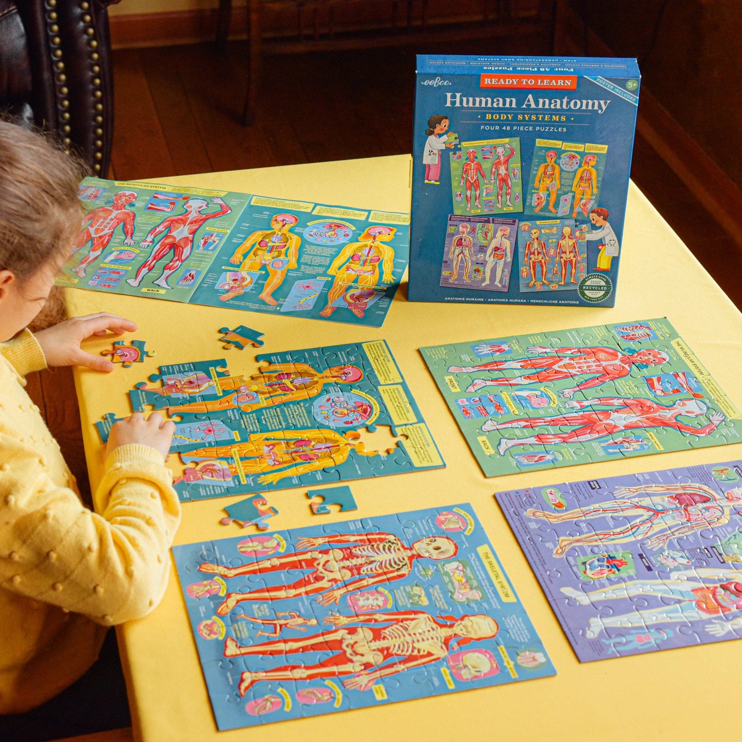 Human Anatomy Ready to Learn 48 Piece 4 Puzzle Set