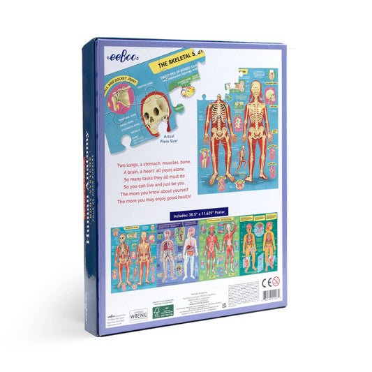 Human Anatomy Ready to Learn 48 Piece 4 Puzzle Set