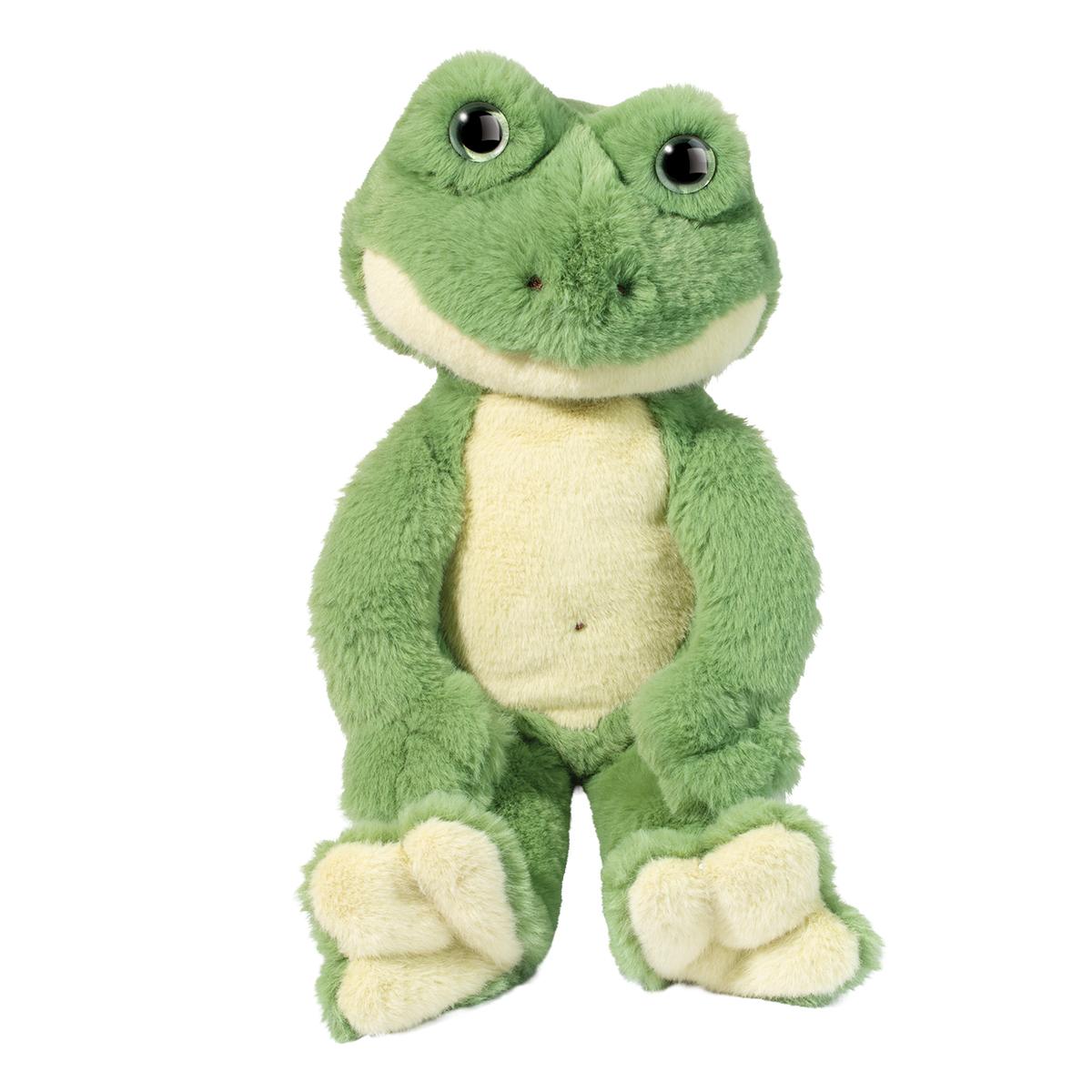 Floyd Floppy Frog