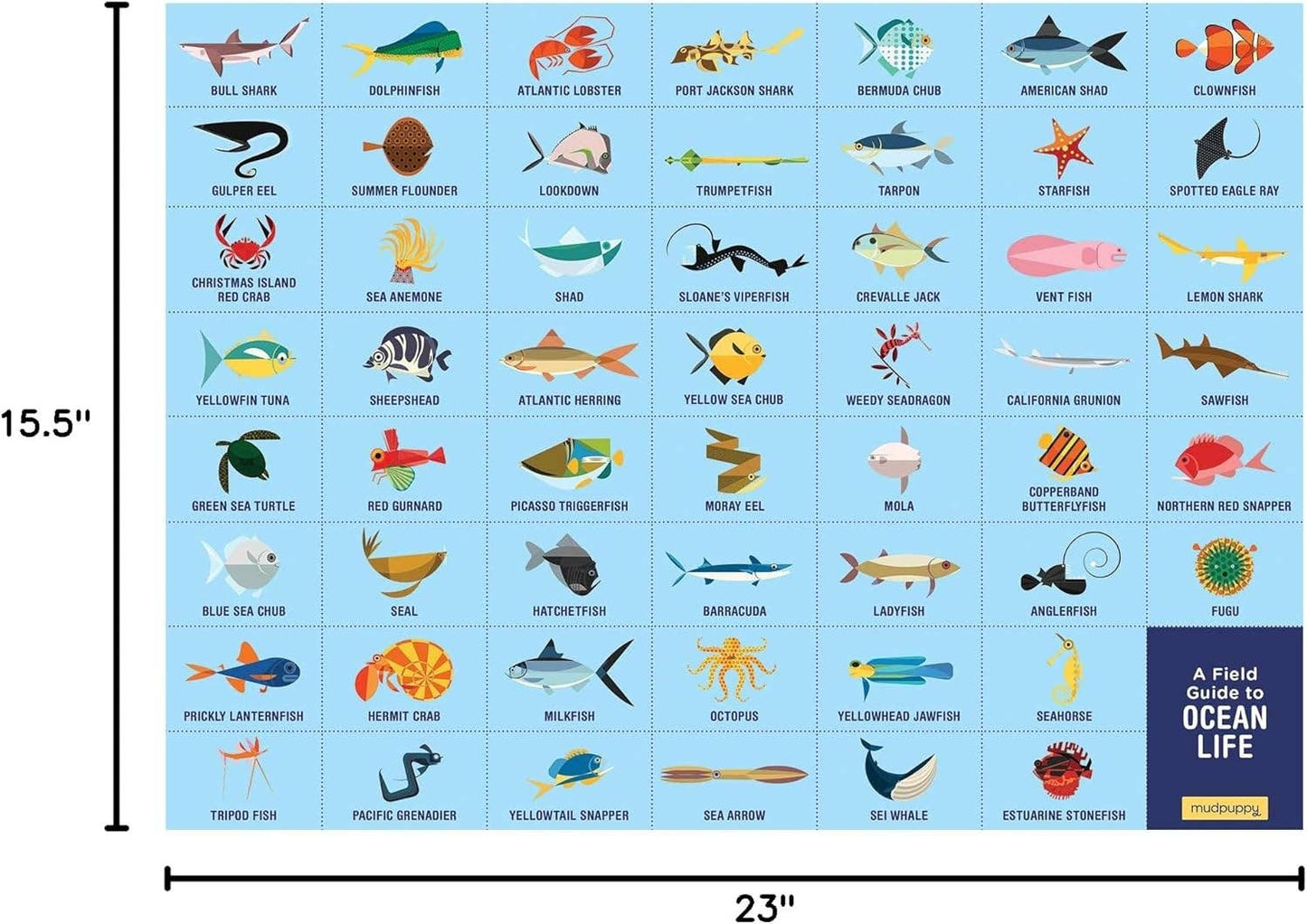 Ocean Life Search & Find Puzzle