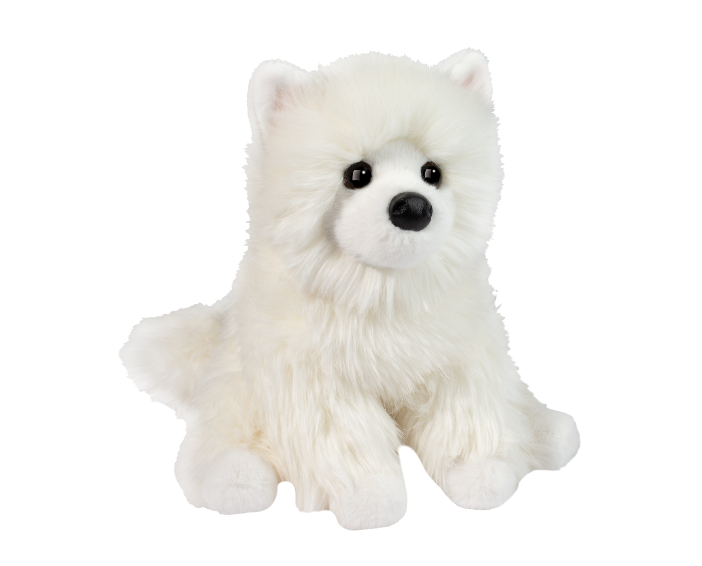 OPO WHITE POMERANIAN
