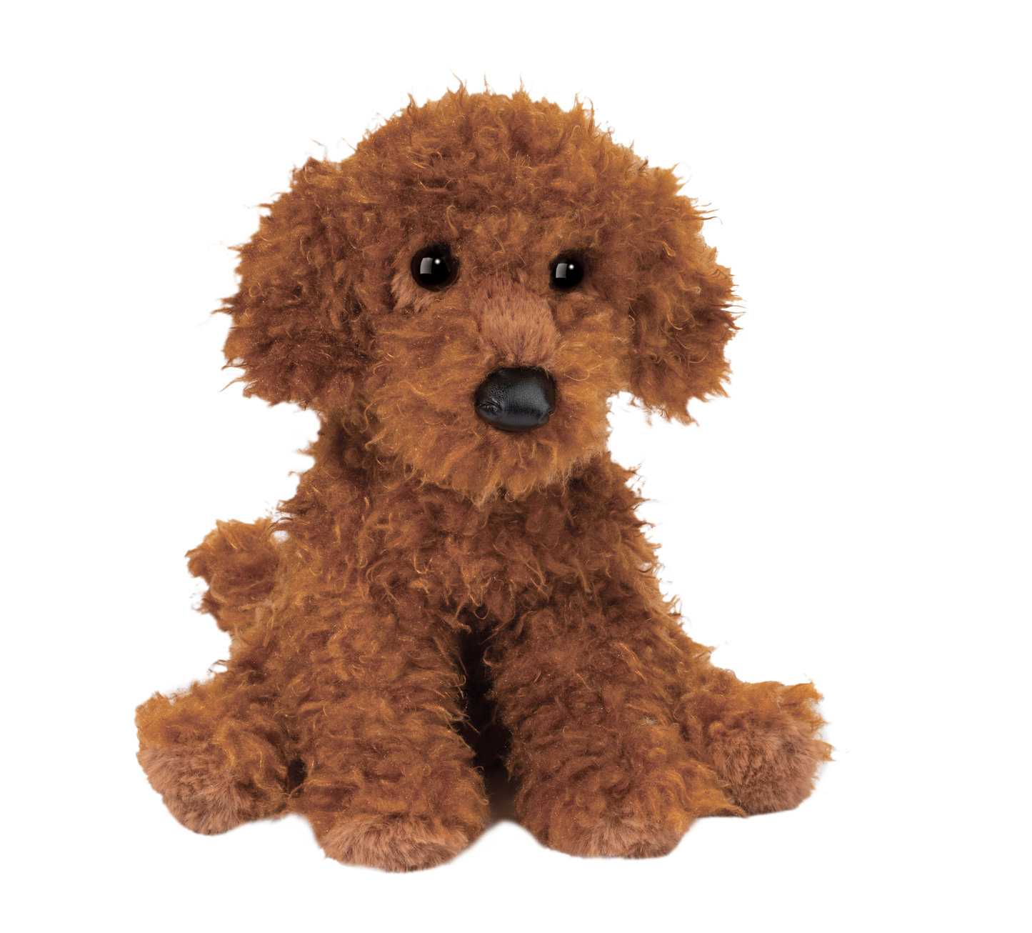 GINGER MINIATURE POODLE
