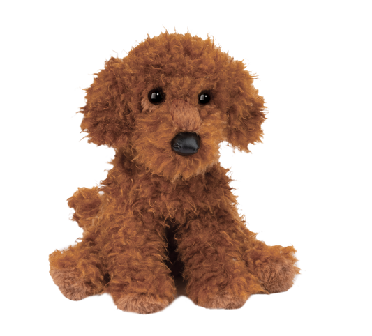 GINGER MINIATURE POODLE