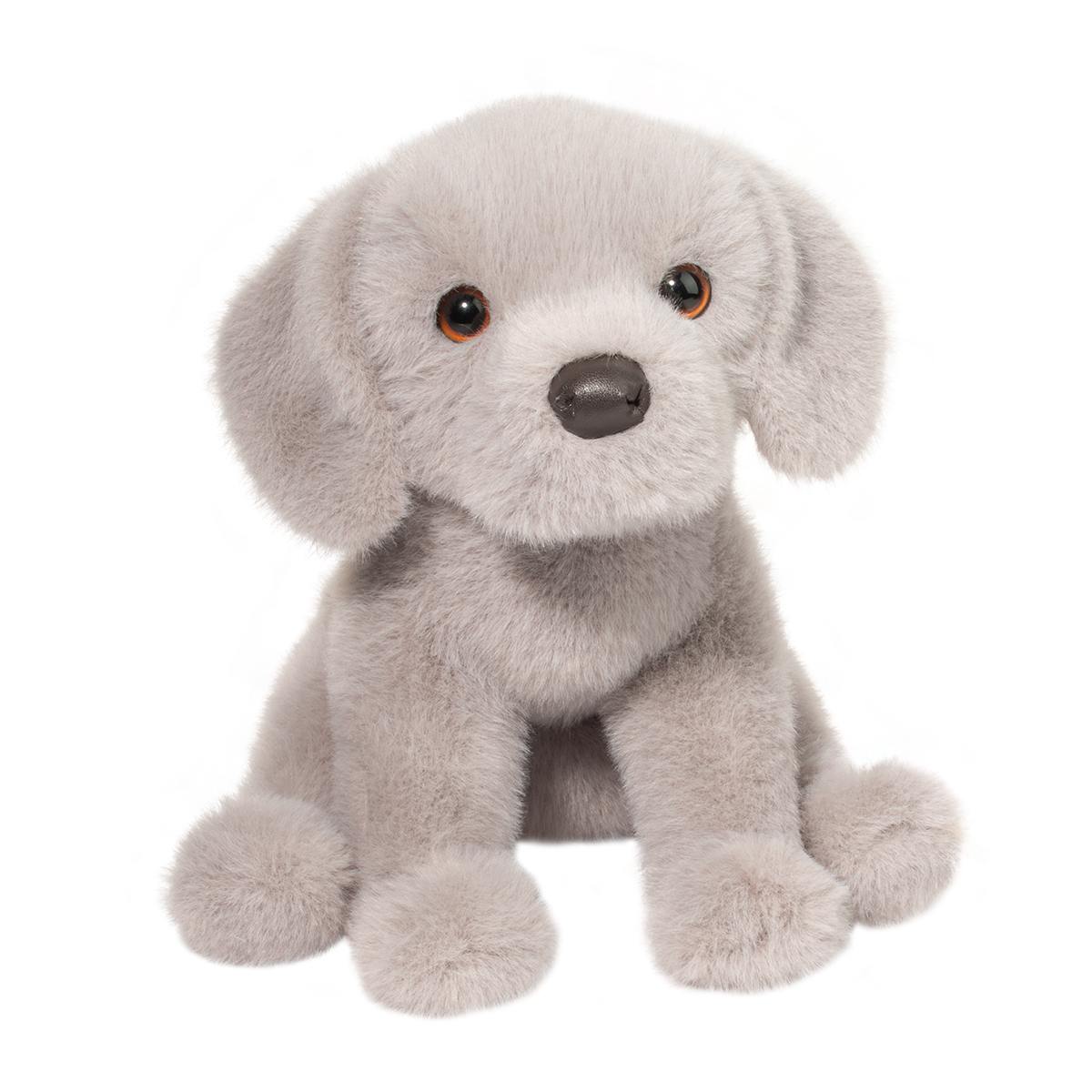 Argento Floppy Silver Lab