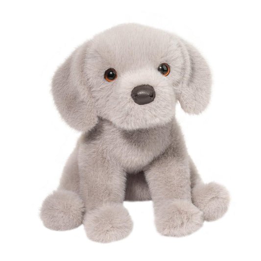 Argento Floppy Silver Lab