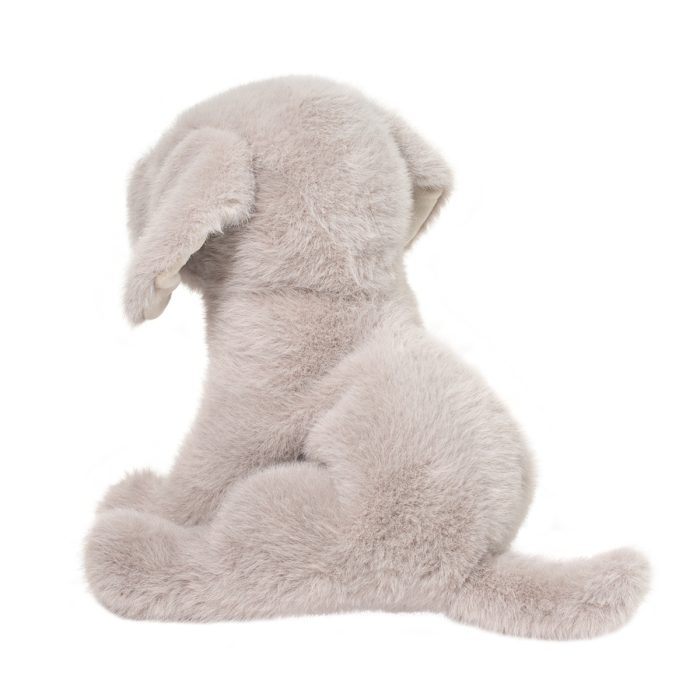 Argento Floppy Silver Lab