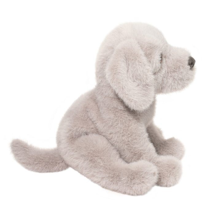 Argento Floppy Silver Lab