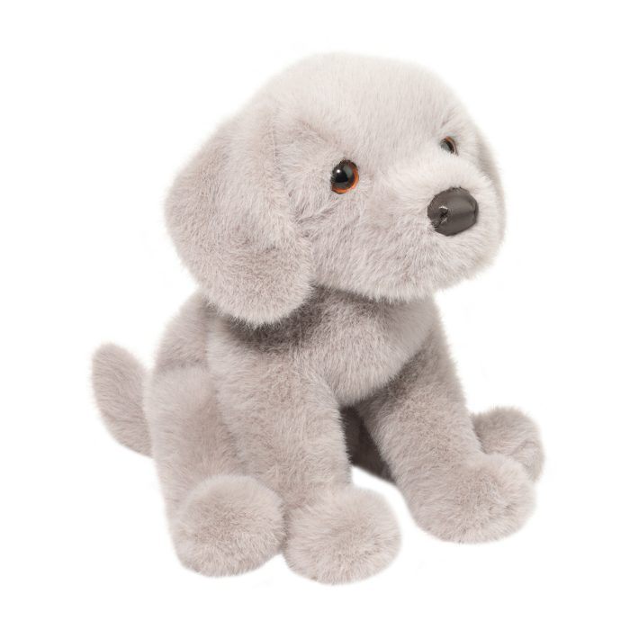 Argento Floppy Silver Lab