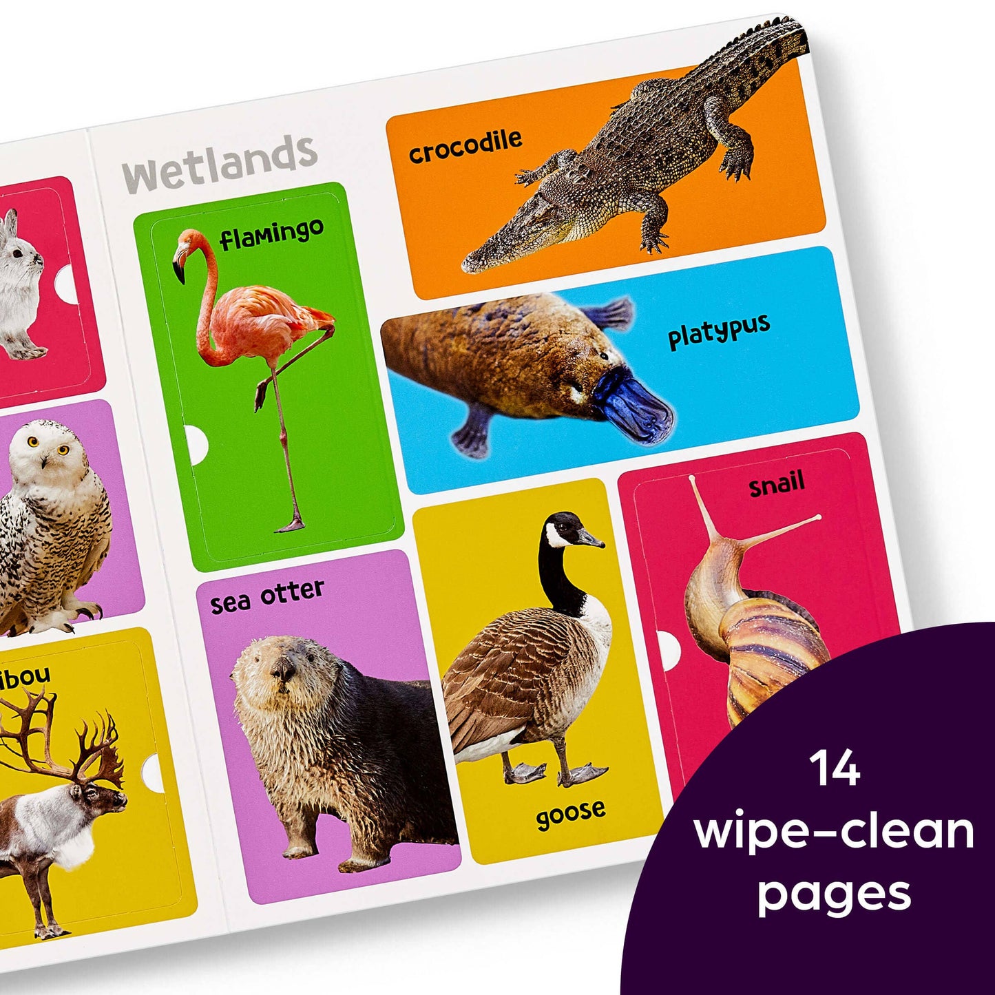 First 101 Animal Words