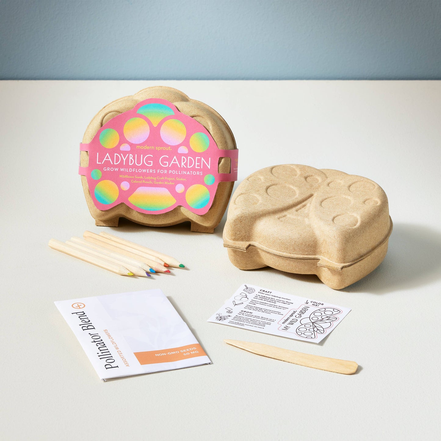 Curious Critters Activity Kit: Bee