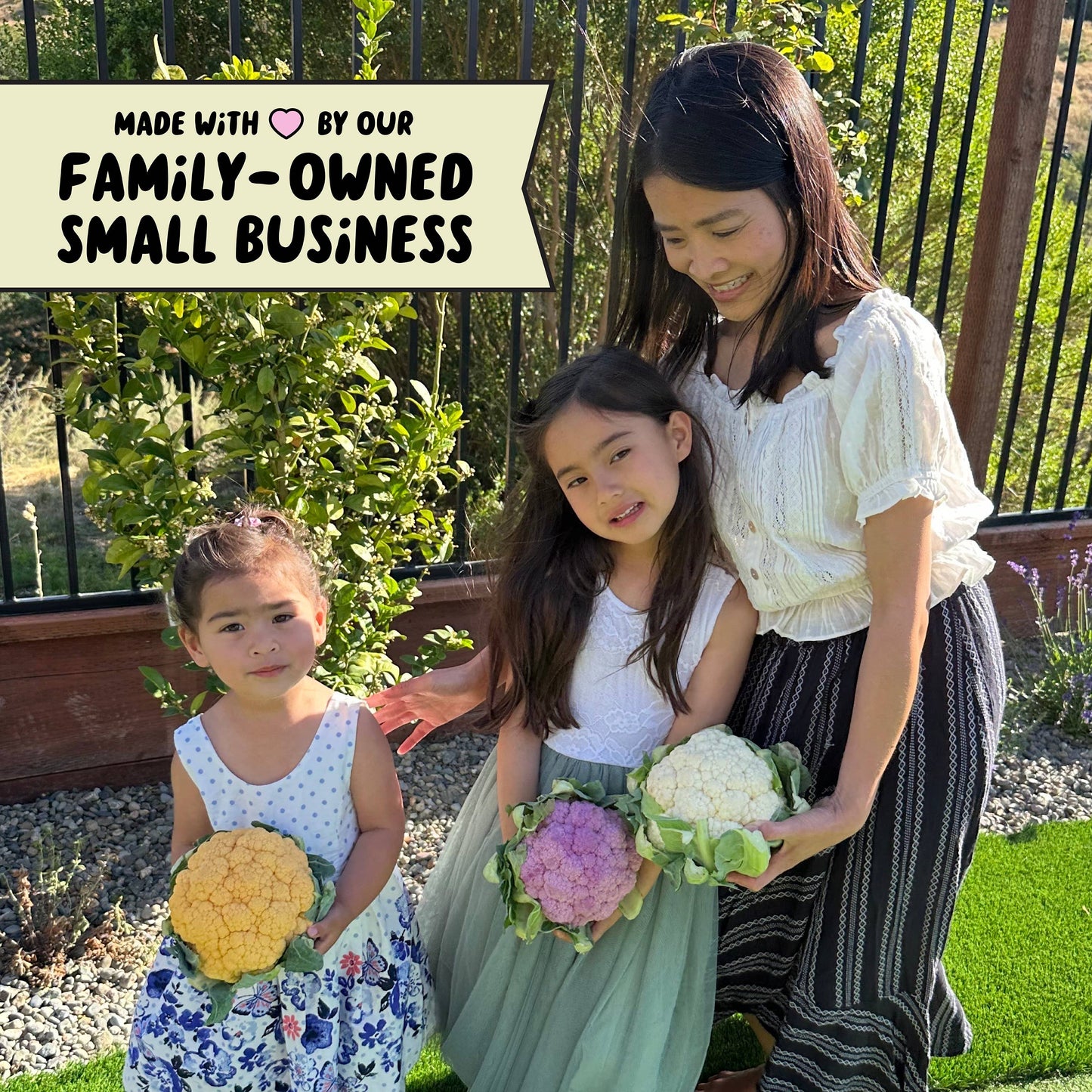 Honey BBQ .75oz Snack Bags