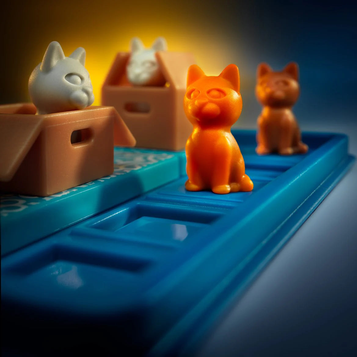 Cats & Boxes 