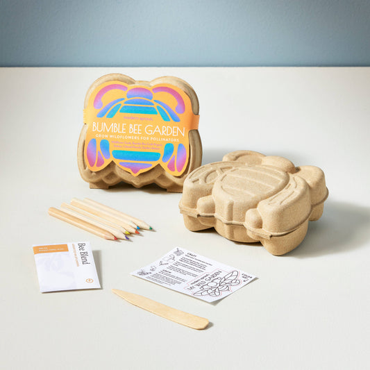 Curious Critters Activity Kit: Bee