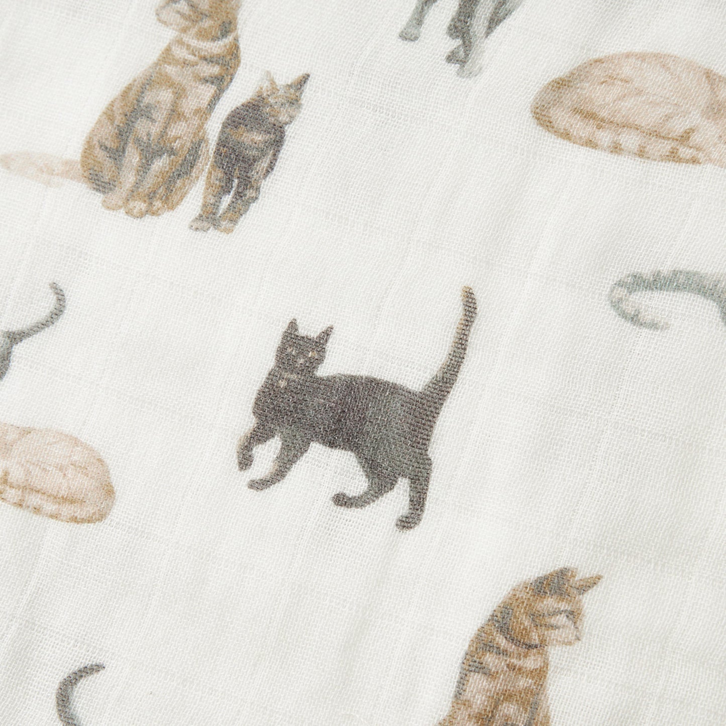 Cat Bamboo Big Lovey