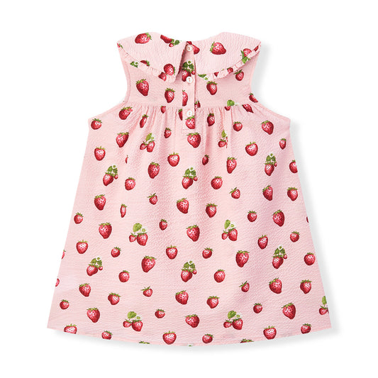 Strawberry Ruffle Collar Dress