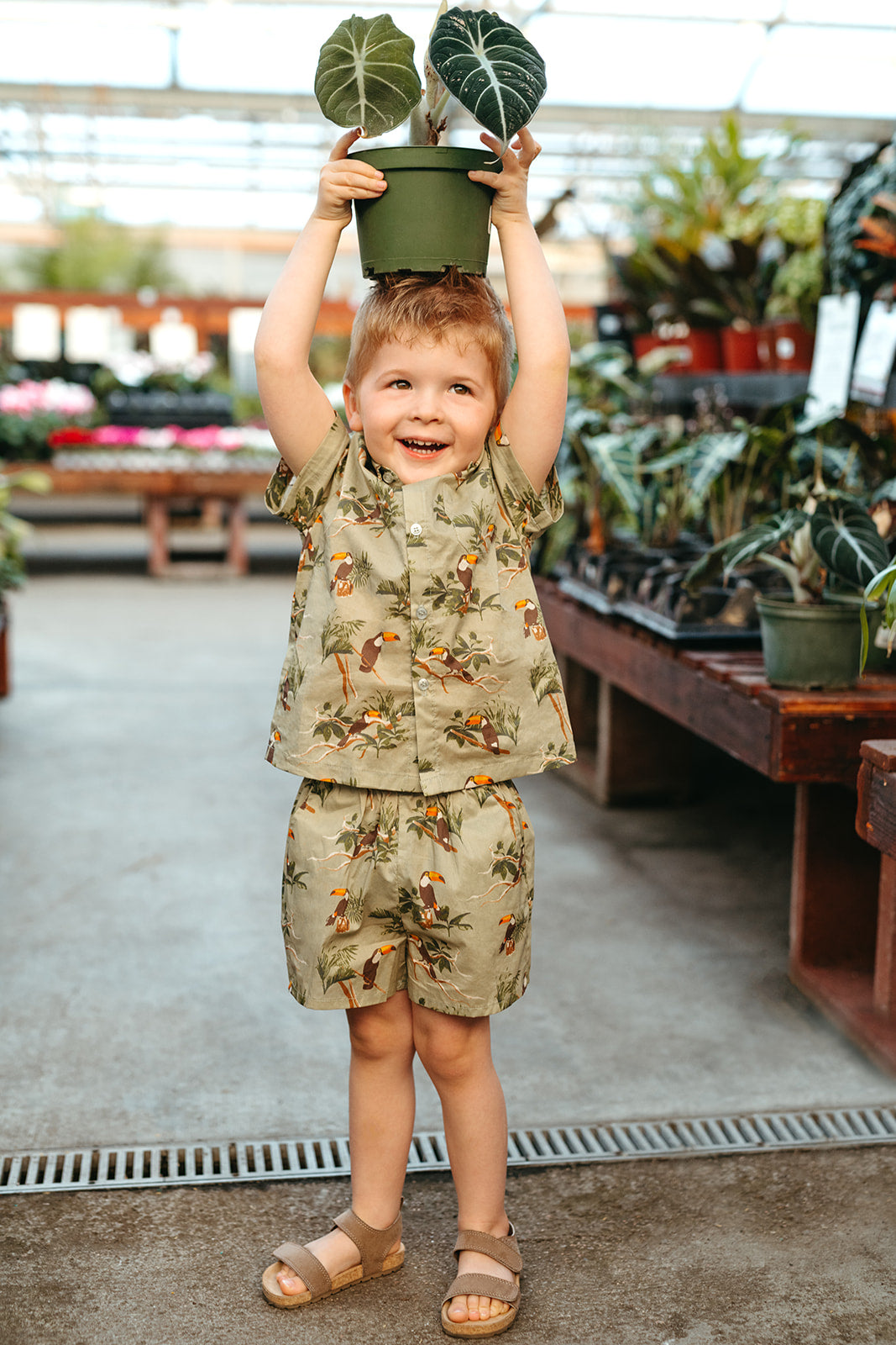 Toucan Collar Button-Up Shirt and Shorts Set