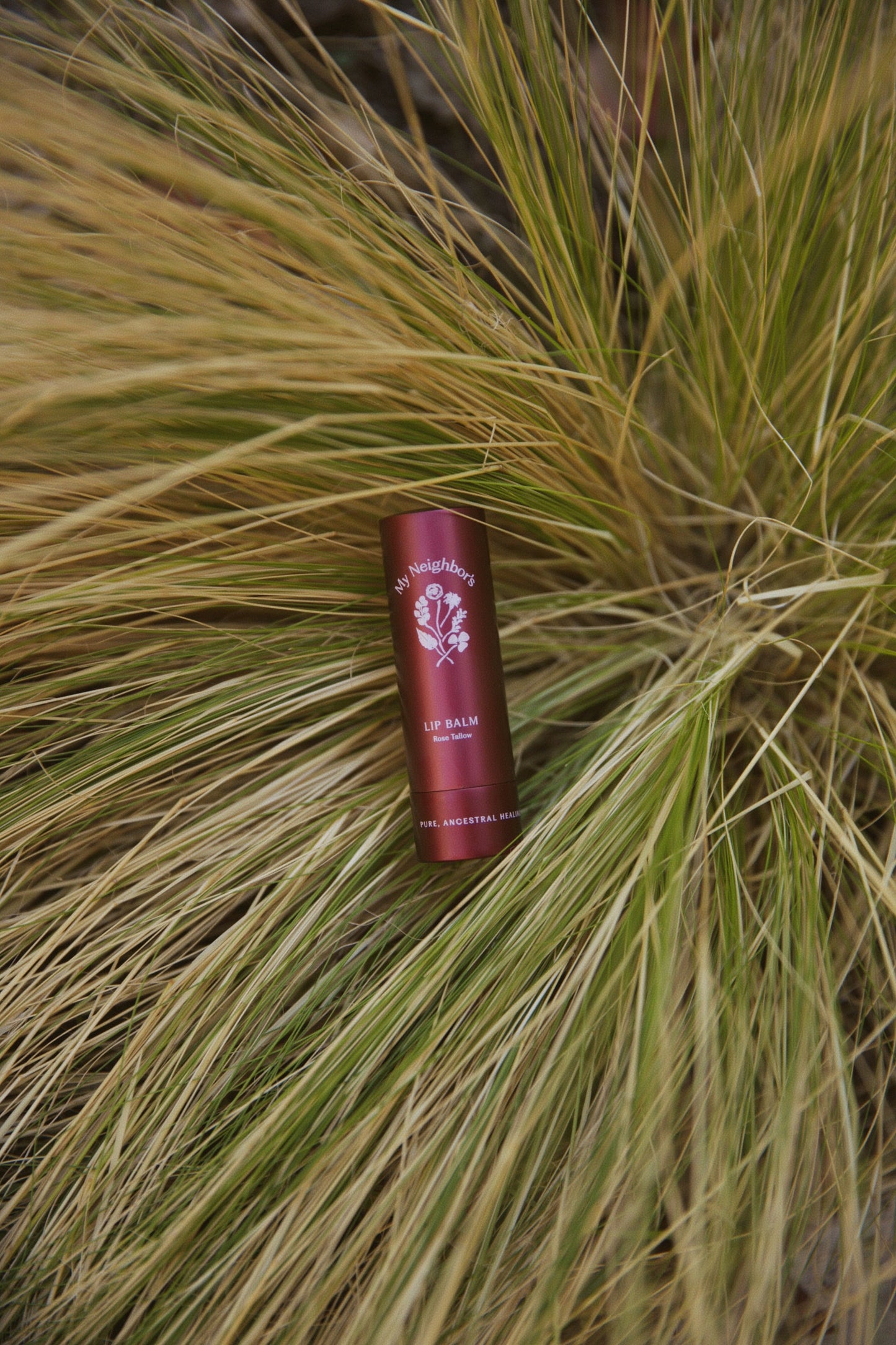 Rose Tallow Lip Balm (tinted)