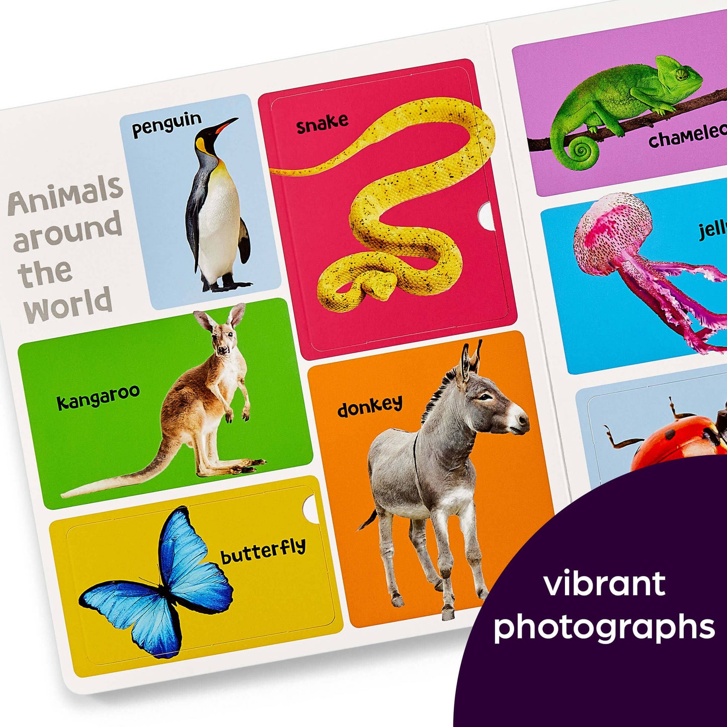 First 101 Animal Words