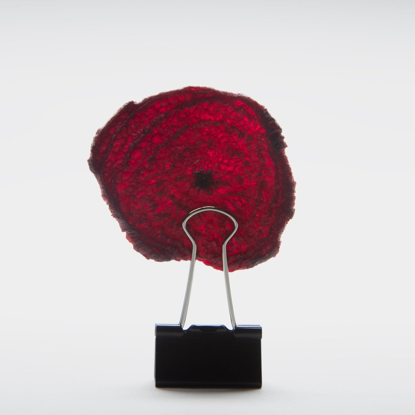 Root Foods – 6 pack