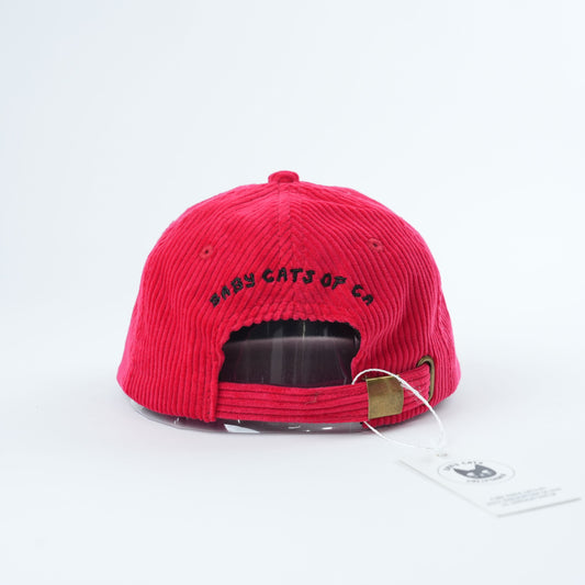 Kids Catsicle Corduroy Hat