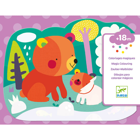 Hidden in the Woods Paint with Water Activity Set