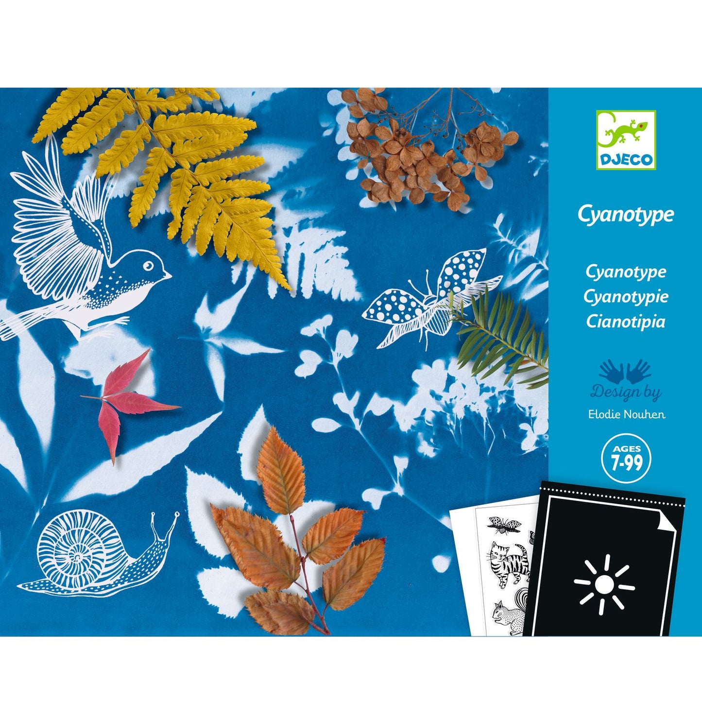 Cyanotype Start Kit