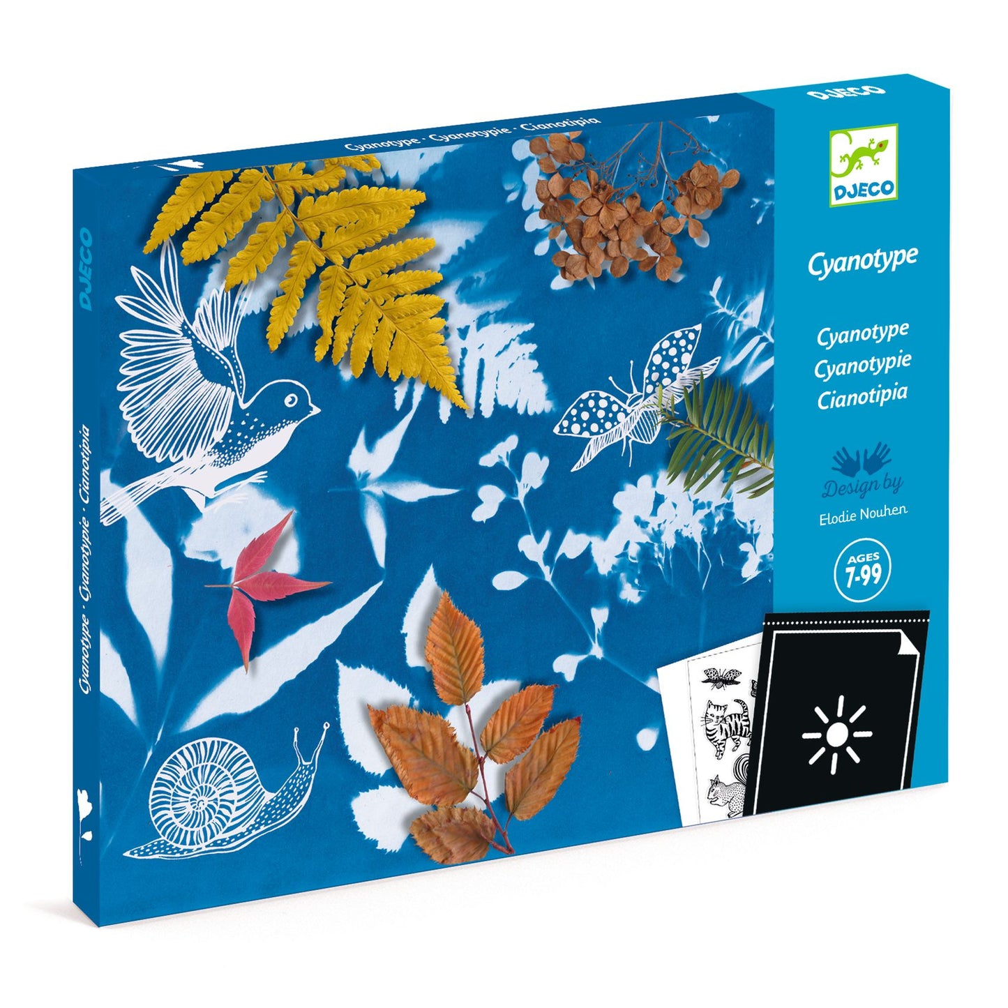 Cyanotype Start Kit