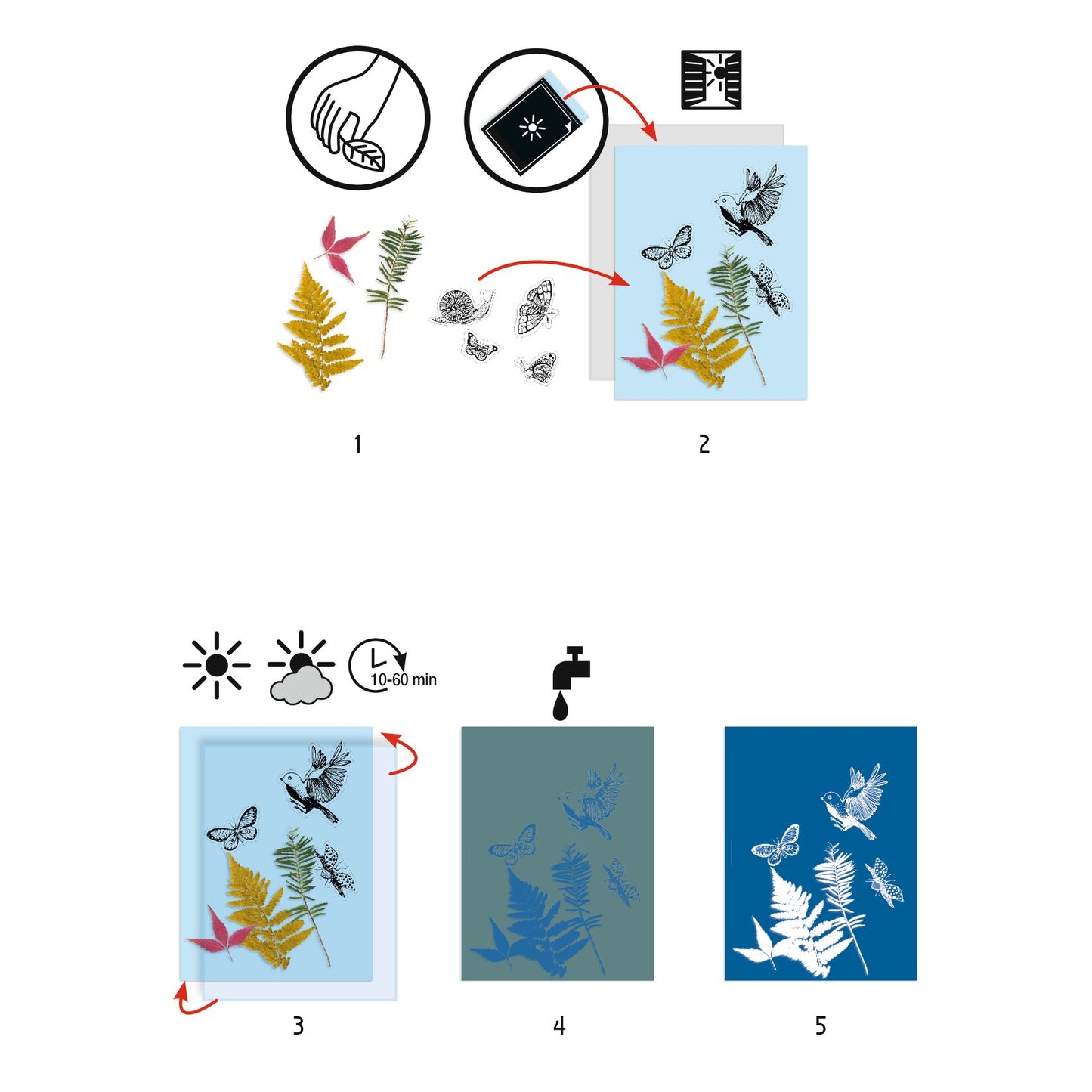Cyanotype Start Kit