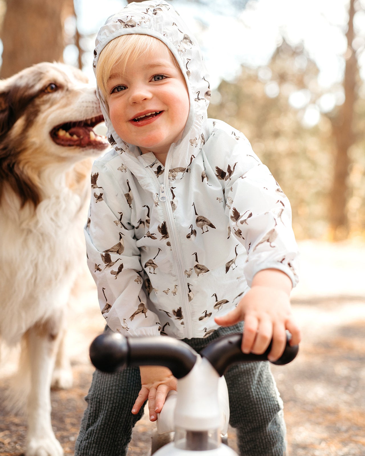 Goose Hooded Sun Shield Windbreaker