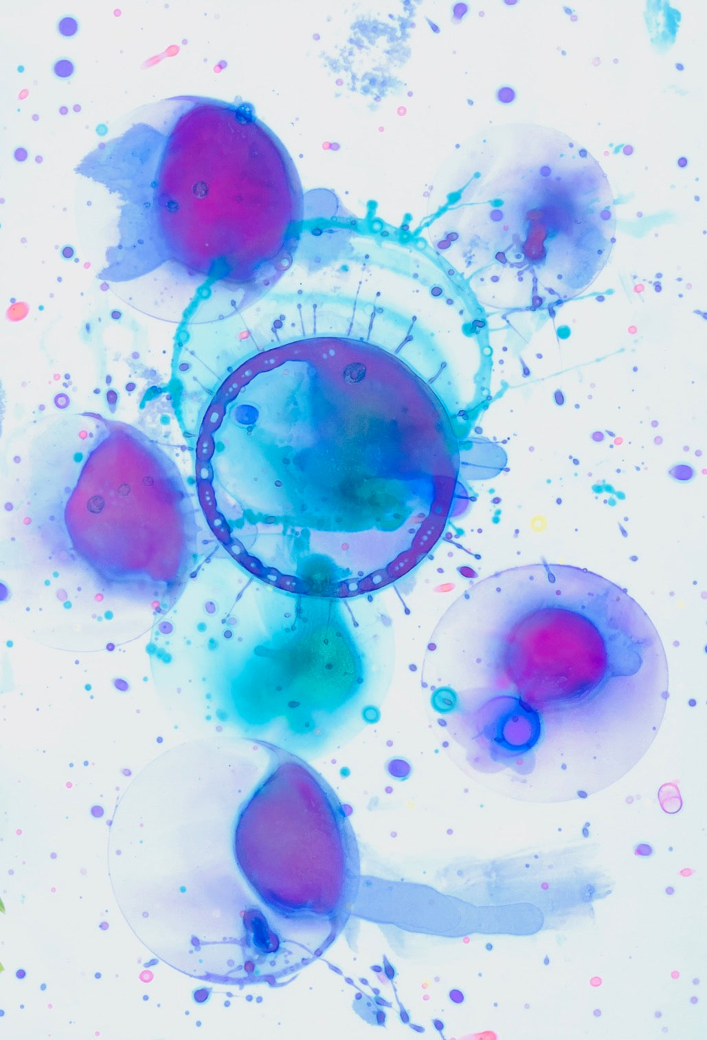 Little Makers - Pop, Swirl, Create!