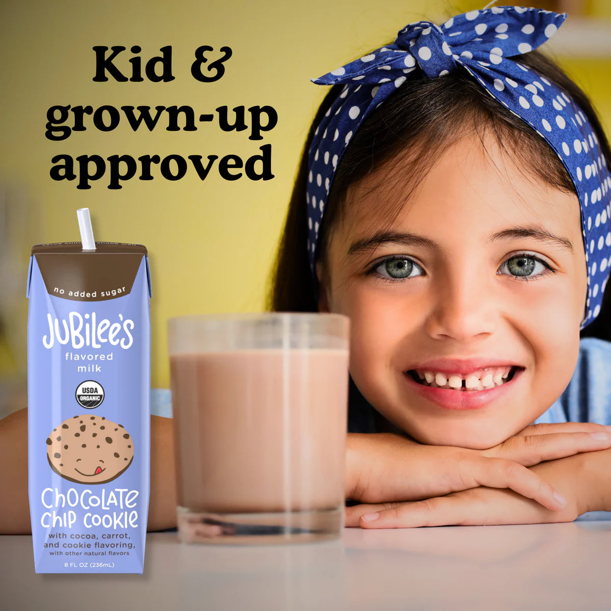 Chocolate Chip Cookie Flavored Milk Boxes