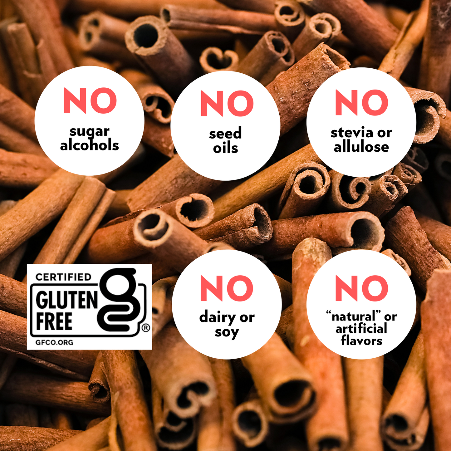 High Protein Cinnamon Cashew Crunch PROTEIN+ Bar (12 Count)