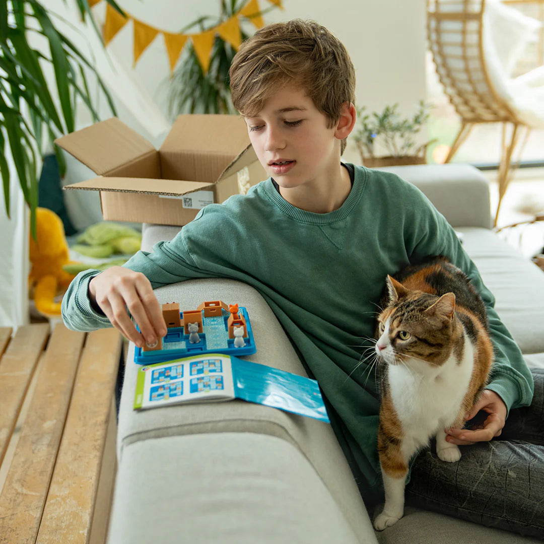 Cats & Boxes 