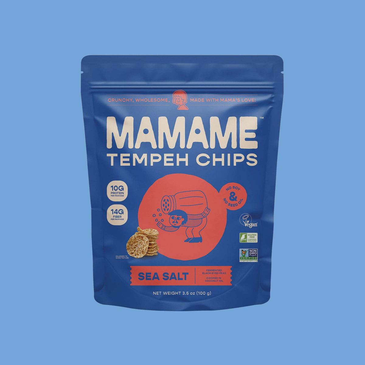 Tempeh Chips Sea Salt - 3.5oz Pouch