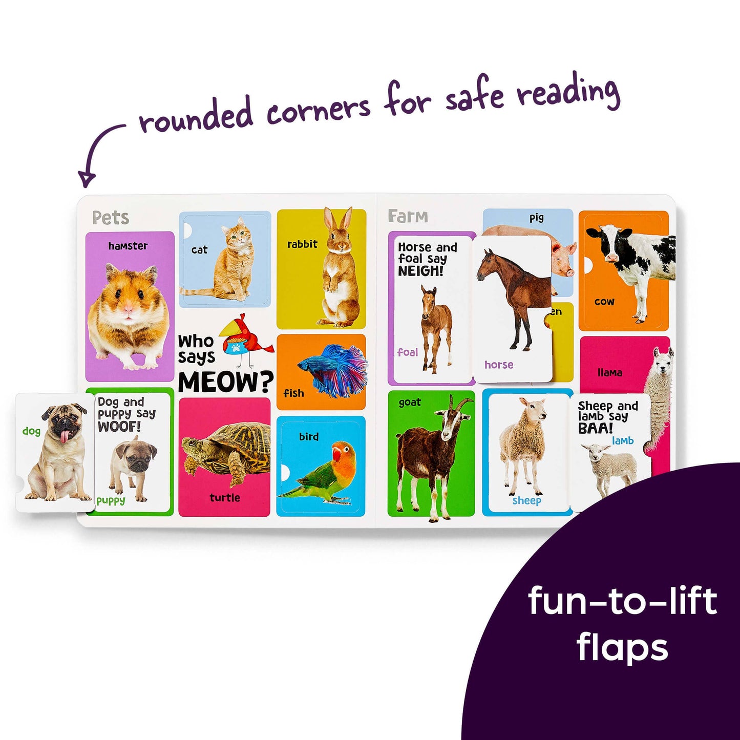 First 101 Animal Words