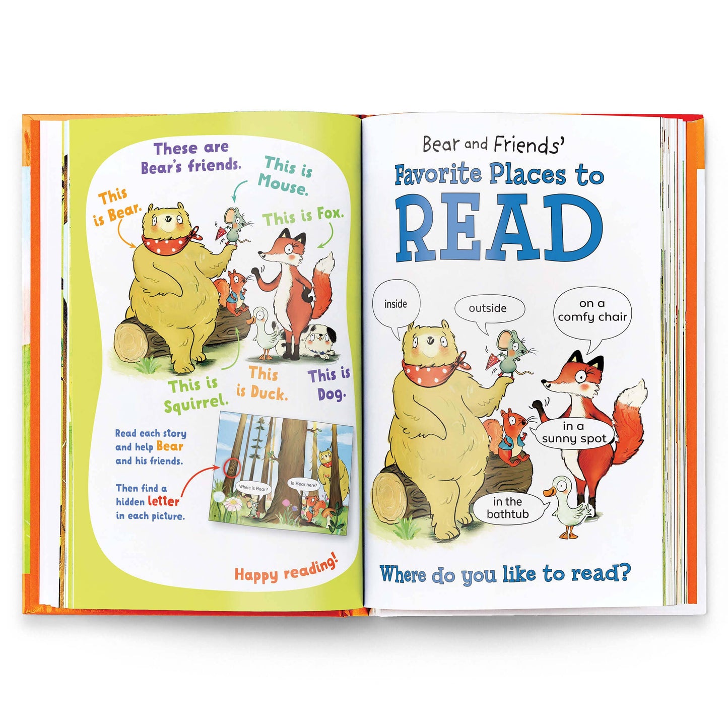Bear and Friends Puzzle Reader Collection