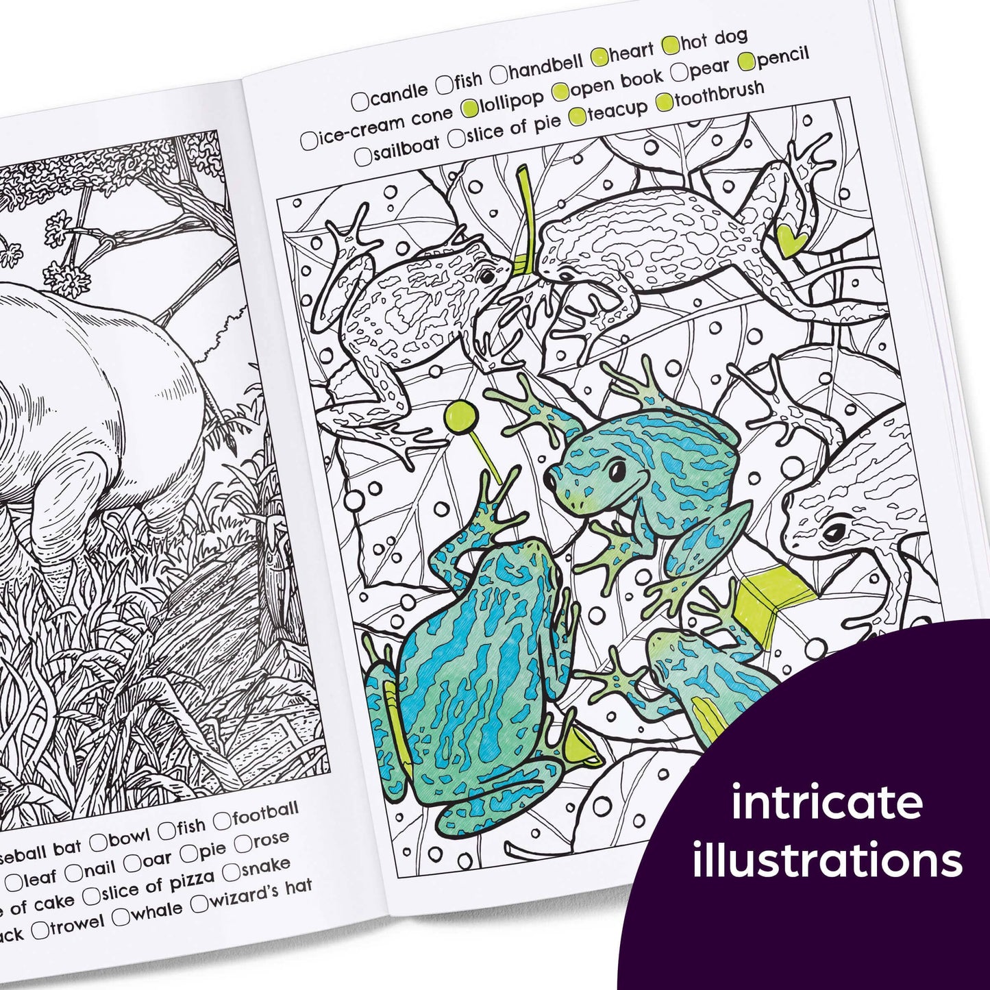 Hidden in Nature: A Cozy Hidden Pictures Coloring Book
