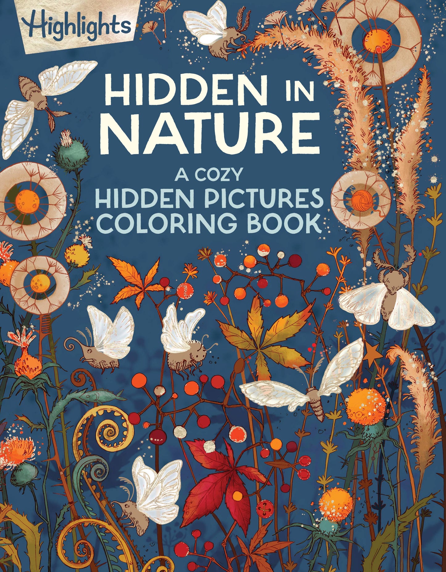 Hidden in Nature: A Cozy Hidden Pictures Coloring Book
