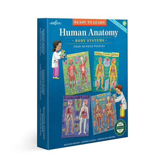 Human Anatomy Ready to Learn 48 Piece 4 Puzzle Set